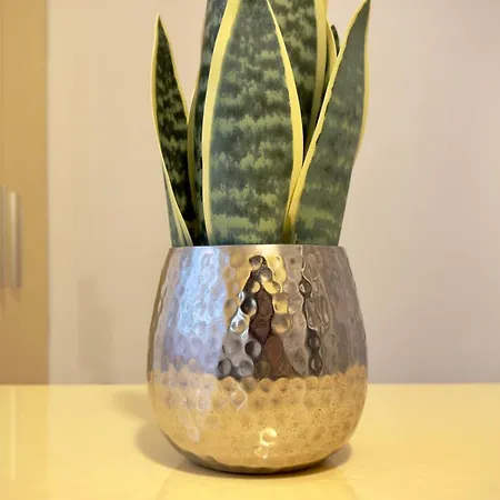 The Easy - Spacious 2br Boekarest