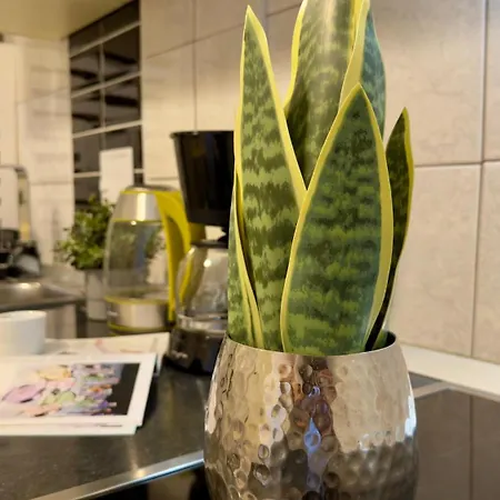 Appartement The Easy - Spacious 2br *