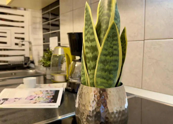 Apartman The Easy - Spacious 2br *